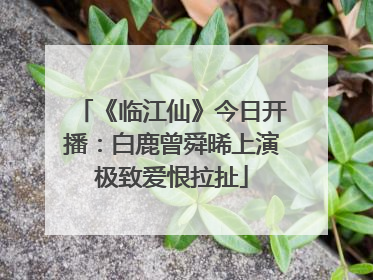 《临江仙》今日开播：白鹿曾舜晞上演极致爱恨拉扯