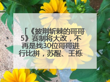 《披荆斩棘的哥哥5》赛制将大改，不再是找30位哥哥进行比拼，苏醒、王栎鑫、王铮亮、张远等多名男团选手被曝将参加
