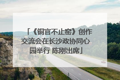 《铜官不止窑》创作交流会在长沙政协同心园举行 陈刚出席