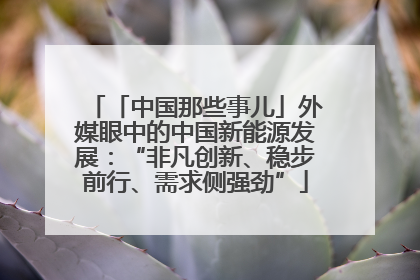 「中国那些事儿」外媒眼中的中国新能源发展：“非凡创新、稳步前行、需求侧强劲”