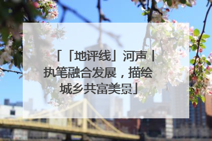 「地评线」河声丨执笔融合发展，描绘城乡共富美景