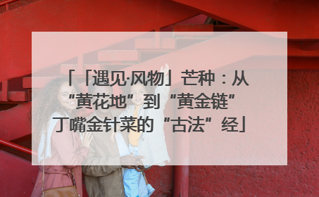 「遇见·风物」芒种：从“黄花地”到“黄金链” 丁嘴金针菜的“古法”经