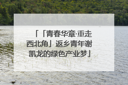 「青春华章·重走西北角」返乡青年谢凯龙的绿色产业梦