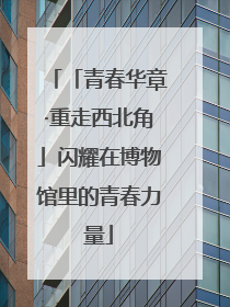 「青春华章·重走西北角」闪耀在博物馆里的青春力量