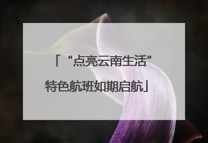 “点亮云南生活”特色航班如期启航