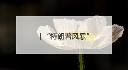 “特朗普风暴”持续席卷哈佛！东京大学等向国际留学生伸出橄榄枝