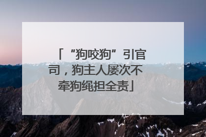 “狗咬狗”引官司，狗主人屡次不牵狗绳担全责