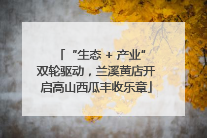 “生态 + 产业”双轮驱动，兰溪黄店开启高山西瓜丰收乐章