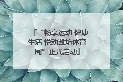 “畅享运动 健康生活 悦动潍坊体育周”正式启动