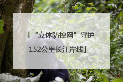 “立体防控网”守护152公里长江岸线