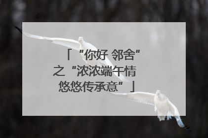 “你好 邻舍”之“浓浓端午情 悠悠传承意”