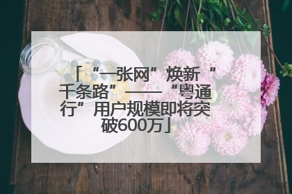 “一张网”焕新“千条路”——“粤通行”用户规模即将突破600万
