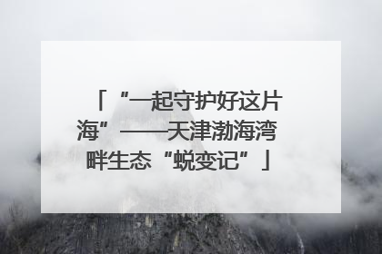 “一起守护好这片海”——天津渤海湾畔生态“蜕变记”