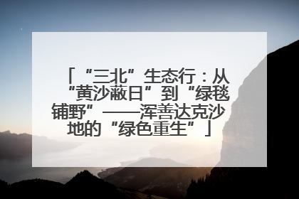“三北”生态行：从“黄沙蔽日”到“绿毯铺野”——浑善达克沙地的“绿色重生”