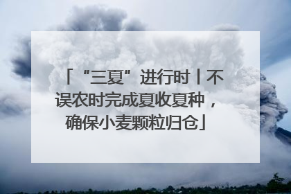 “三夏”进行时丨不误农时完成夏收夏种，确保小麦颗粒归仓