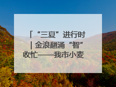 “三夏”进行时｜金浪翻涌“智”收忙——我市小麦开镰收割见闻