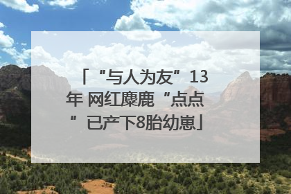“与人为友”13年 网红麋鹿“点点”已产下8胎幼崽