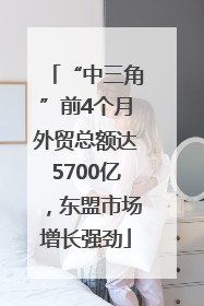 “中三角”前4个月外贸总额达5700亿，东盟市场增长强劲