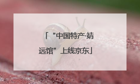 “中国特产·靖远馆”上线京东