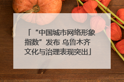 “中国城市网络形象指数”发布 乌鲁木齐文化与治理表现突出