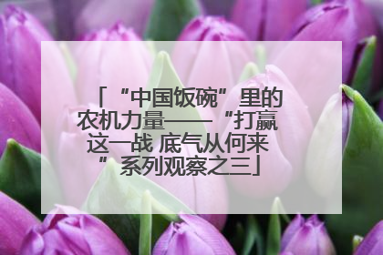 “中国饭碗”里的农机力量——“打赢这一战 底气从何来”系列观察之三