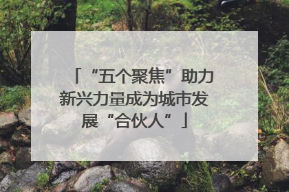 “五个聚焦”助力新兴力量成为城市发展“合伙人”