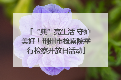 “典”亮生活 守护美好！荆州市检察院举行检察开放日活动