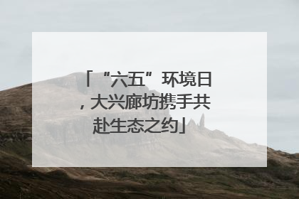 “六五”环境日，大兴廊坊携手共赴生态之约