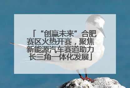 “创赢未来”合肥赛区火热开赛，聚焦新能源汽车赛道助力长三角一体化发展