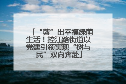 “剪”出幸福绿荫生活！控江路街道以党建引领实现“树与民”双向奔赴
