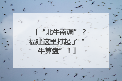 “北牛南调”？福建这里打起了“牛算盘”！