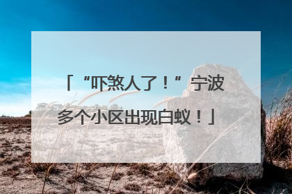 “吓煞人了！”宁波多个小区出现白蚁！