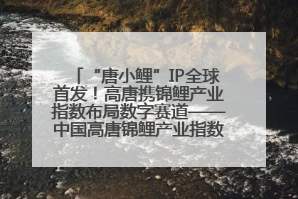 “唐小鲤”IP全球首发！高唐携锦鲤产业指数布局数字赛道——中国高唐锦鲤产业指数暨“唐小鲤”IP全球首发仪式在杭州举行