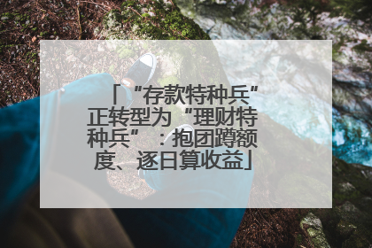 “存款特种兵”正转型为“理财特种兵”：抱团蹲额度、逐日算收益