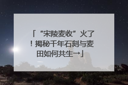 “宋陵麦收”火了！揭秘千年石刻与麦田如何共生→