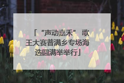 “声动嘉禾” 歌王大赛普满乡专场海选圆满举举行