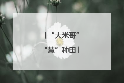 “大米哥”“慧”种田