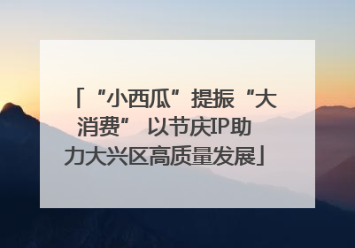 “小西瓜”提振“大消费” 以节庆IP助力大兴区高质量发展