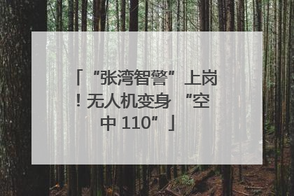 “张湾智警”上岗！无人机变身 “空中 110”