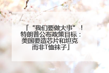 “我们要做大事”！特朗普公布政策目标：美国要造芯片和坦克 而非T恤袜子