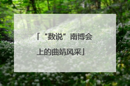 “数说”南博会上的曲靖风采