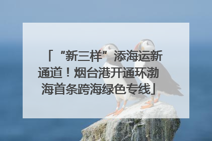 “新三样”添海运新通道！烟台港开通环渤海首条跨海绿色专线