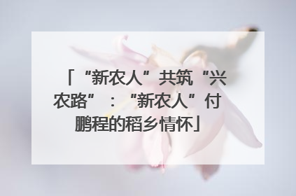 “新农人”共筑“兴农路”：“新农人”付鹏程的稻乡情怀