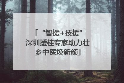 “智援+技援” 深圳援桂专家助力壮乡中医焕新颜