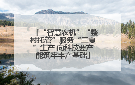 “智慧农机”“整村托管”服务“三夏”生产 向科技要产能筑牢丰产基础