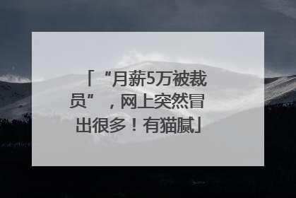 “月薪5万被裁员”，网上突然冒出很多！有猫腻