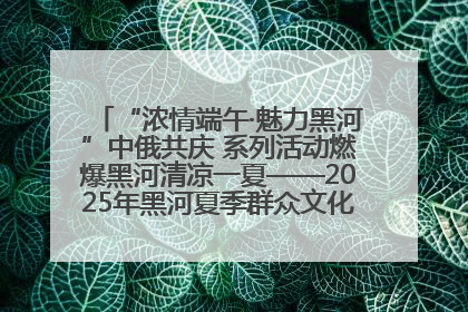 “浓情端午·魅力黑河”中俄共庆 系列活动燃爆黑河清凉一夏——2025年黑河夏季群众文化活动启幕 多元文化赋能边境文旅新高地