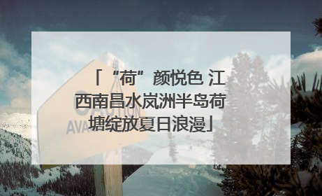 “荷”颜悦色 江西南昌水岚洲半岛荷塘绽放夏日浪漫