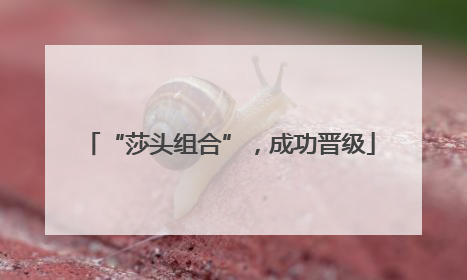 “莎头组合”，成功晋级