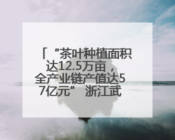 “茶叶种植面积达12.5万亩，全产业链产值达57亿元” 浙江武义茶产业全链发展“加速度”